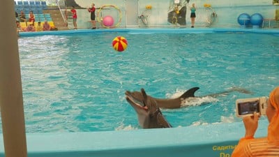 บรรยากาศ Dolphins Bay Phuket