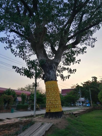 วัดจุฬามณี