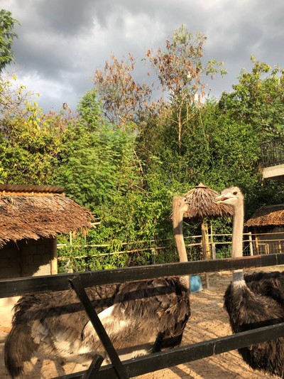 บรรยากาศ