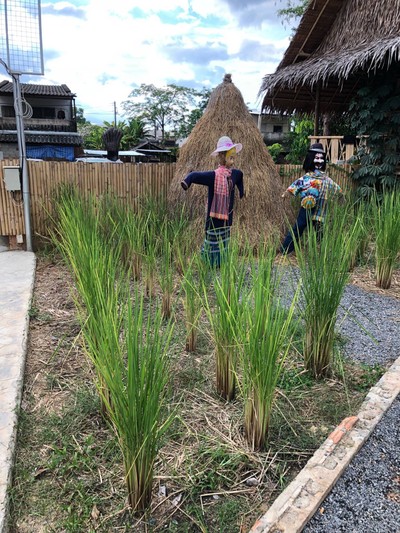 บรรยากาศ