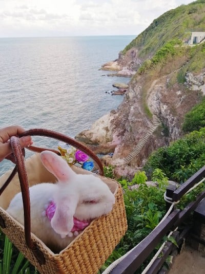 เปิดตัวแขกรับเชิญพิเศษของทริปค่าา​ เจ้าลูกชายสุดหล่อ​