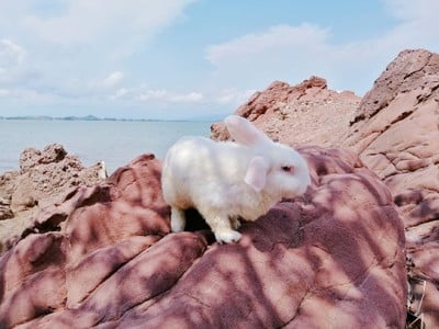 นายแบบสุดหล่อ