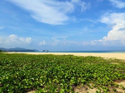 บรรยากาศ หาดกะตะ