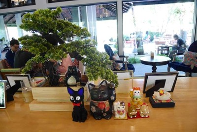 บรรยากาศ