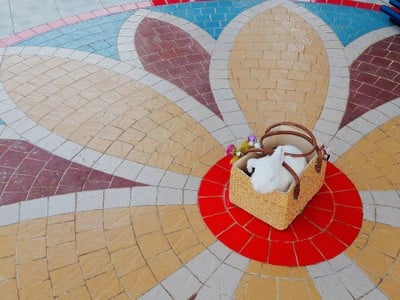 ชอบความดอกไม้บนพื้น