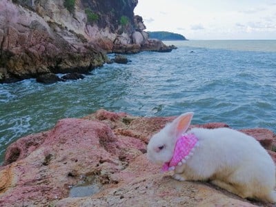 เก็บภาพที่ระลึก​กันสักนิด