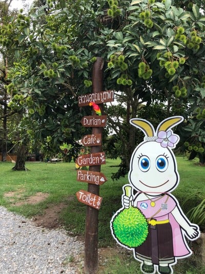 3 วัน 2 คืน เมืองจันทบุรี ไม่ได้มีดีแค่ทุเรียน 
