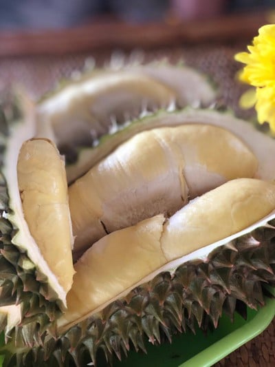 ทุเรียนหมอนทอง