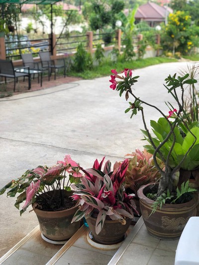 3 วัน 2 คืน เมืองจันทบุรี ไม่ได้มีดีแค่ทุเรียน 
