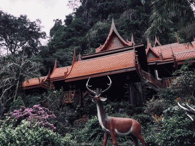 โชคดีที่ฝนหยุดตก