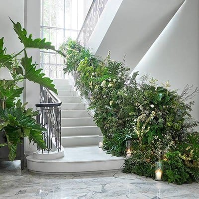 บรรยากาศ The Botanical House