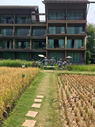 บรรยากาศ