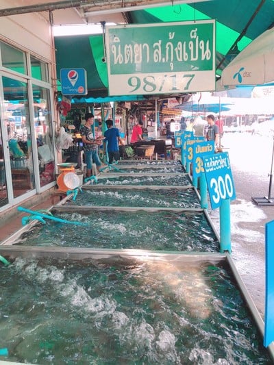 หน้าร้าน นิตยา ส.กุ้งเป็น ตลาดกลางเพื่อการเกษตร จังหวัดอยุธยา