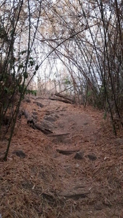 ทางขึ้นลาดชัน