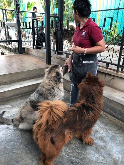 บรรยากาศ