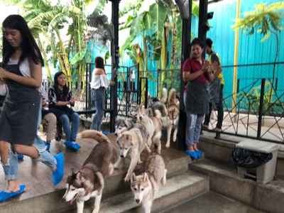 บรรยากาศ