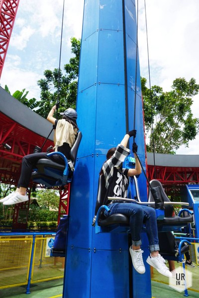 ไต่ขึ้นไปเลยจร้า ลงมากินไมโลฟรี