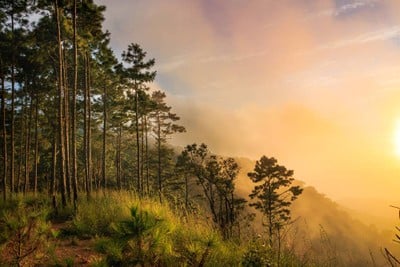 บรรยากาศ อุทยานแห่งชาติดอยสุเทพ-ปุย
