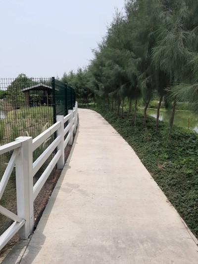 เดินเล่นได้อีก