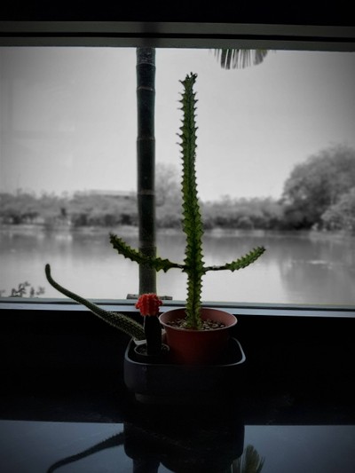 ของตกแต่งในร้าน