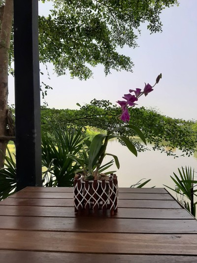 มีตกแต่งบนโต๊ะที่กาดบ้านควายด้วย