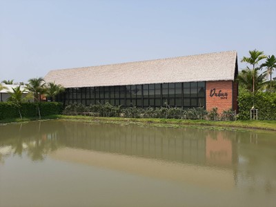 คาเฟ่ริมสระบัว