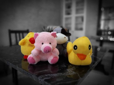 รางวัลที่ได้