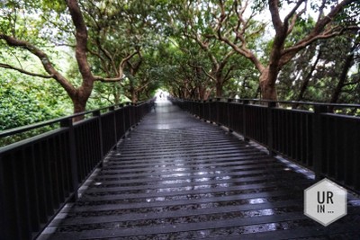 ไต้หวัน ไม่หวั่นแม้วันฝนตก