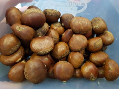 วิธีทำ เกาลัดนมสดปั่น 🌰