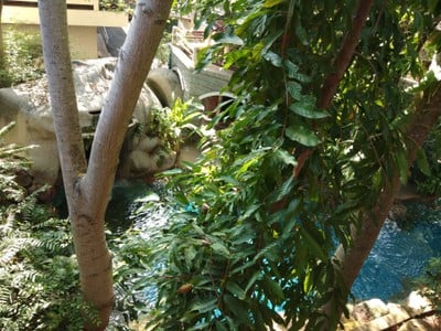 โรงแรมร้อยเกาะ