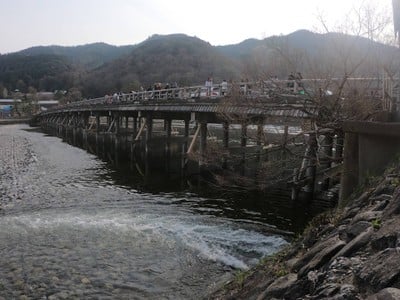 Arashiyama Bamboo Grove