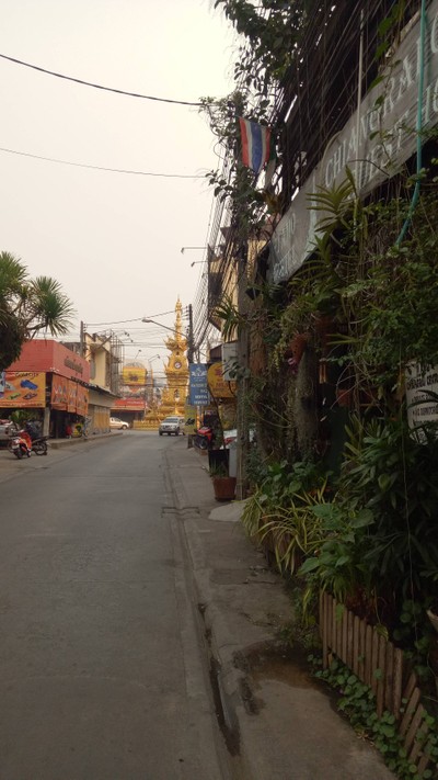 Ti Amo Chaingrai Greathorse 