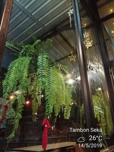 บรรยากาศ