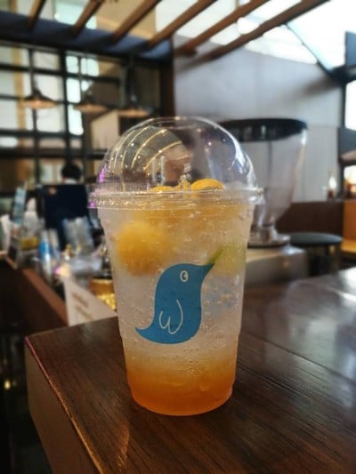 มะม่วงโซดา