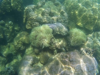 บรรยากาศ เกาะมัตรา