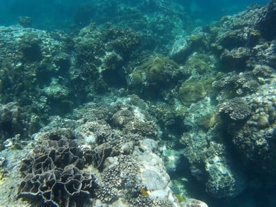 บรรยากาศ เกาะง่ามใหญ่