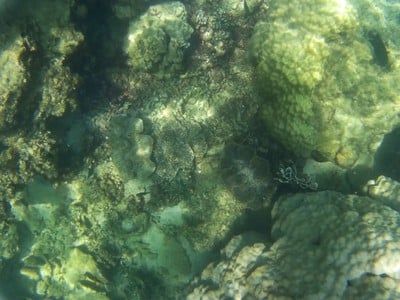 บรรยากาศ เกาะมัตรา