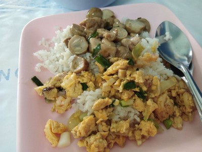 ศรีดอนไชยโภชนา (SI DON CHAI PHOCHANA) ศรีดอนไชยโภชนา (SI DON CHAI PHOCHANA)