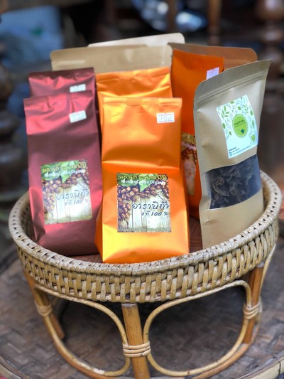 กาแฟพันธุ์อาราบิก้าหาง่ายที่แม่กำปอง 