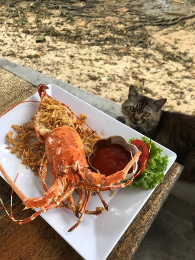 กุ้งมังกรทอดกระเทียม