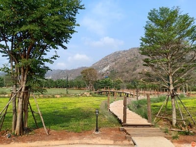 ชนบท เขาใหญ่
