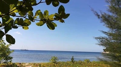 หาดกมลา