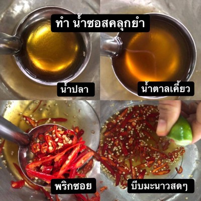 วิธีทำ ยำกะเฉดชะลูดน้ำ วิธีทำ ยำกะเฉดชะลูดน้ำ