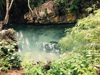 บรรยากาศ คลองน้ำใส