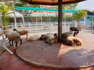 บรรยากาศ