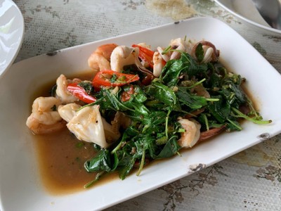 กะเพราทะเล