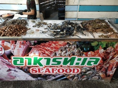 เมาทะเล ณ เชียงใหม่