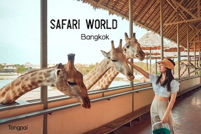 พาย้อนวันวานกลับไปวัยเด็กที่ “ Safari World”