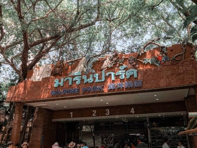 พาย้อนวันวานกลับไปวัยเด็กที่ “ Safari World”