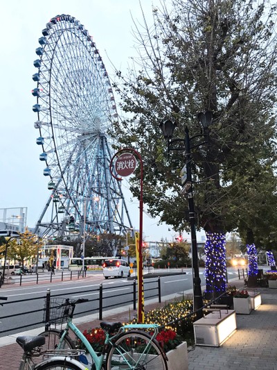 Osaka กับใบไม้สีแดง